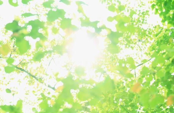 治らないと思っていませんか？頭痛、腰痛、肩こり、お任せください！熊本県山鹿市エステサロンシュシュはカイロプラクティックの施術が好評です